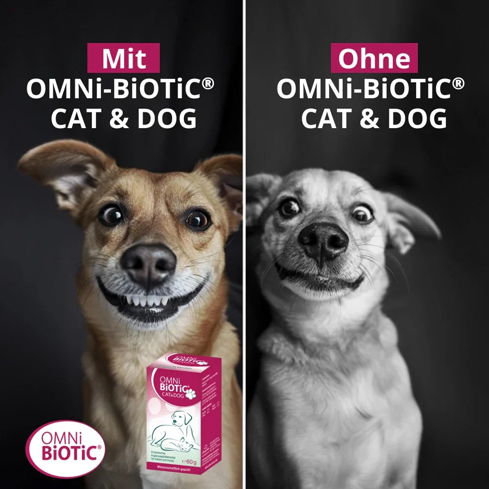 Vergleichbild ein Hund mit und ohne OMNi-BiOTiC CAT & DOG